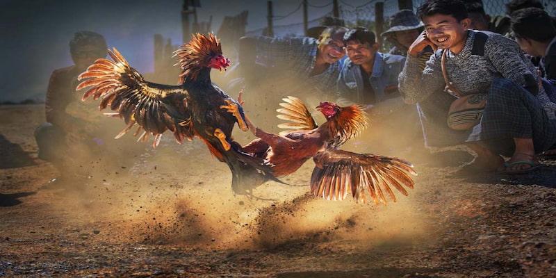 Bí quyết tham gia trải nghiệm đặt tiền hiệu quả tốt nhất