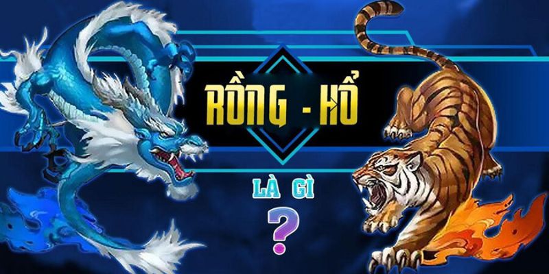 Giới thiệu cách chơi rồng hổ tại xin88