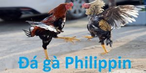 Đá Gà Philippines